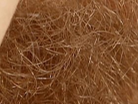 Female textures - Stunning blondes (HD 1080p)(Vagina close up hairy sex pussy)(by rumesco)